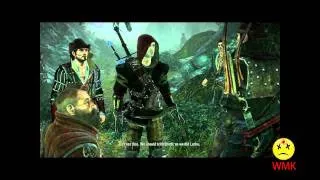 Witcher 2 GTX 480 Fraps test