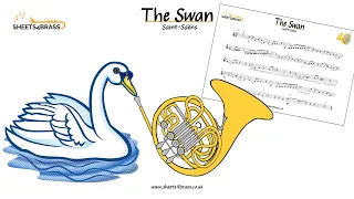 The Swan - French Horn Play Along with sheet Music