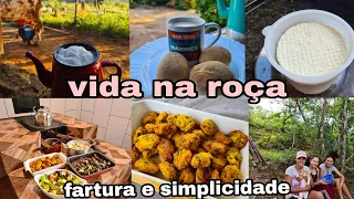 ROTINA NA ROÇA QUE AMO🤎  CAFÉ DA MANHÃ/ QUEIJO CASEIRO/ ALMOÇO COMPLETO/ FOMOS CHUPAR UMBU