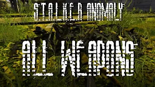 S.T.A.L.K.E.R Anomaly | ALL WEAPONS