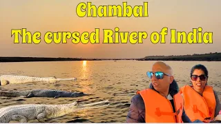 EP-2-The Cursed river of India #chambal  /Encounter with Crocodiles of #chambal river#reptiles