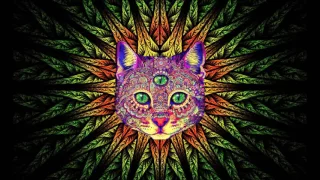 Best Rave/Party Songs Mix #1: PSY TRANCE, MINIMAL, GOA TRANCE, HEAVY BASS (song list in description)
