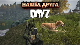 #2 КАК ЖЕ ЭТОГО НЕ ХВАТАЛО В DAYZ. СЕРВЕР AVANTIS