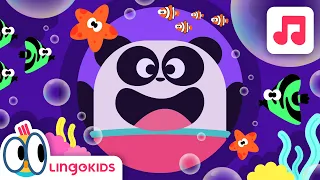 AQUATIC ANIMALS SONG 🐬🎶| At the Aquarium Song for kids | Lingokids