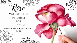 Watercolor Tutorial for Beginners 🌹 How To Paint a Realistic Rose 🌹 Beautiful Rose 🌹