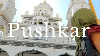 14 THINGS TO DO IN PUSHKAR | PUSHKAR TRAVEL GUIDE | INDIA VLOG