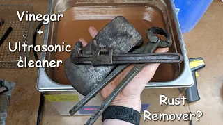 Is Vinegar + Ultrasonic Cleaner Effective Against Rust?