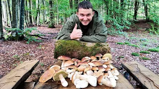 CAME ON GORGEOUS WHITE MUSHROOMS at the beginning of the 2023 season in the Carpathians