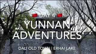 Yunnan 2023 | Day 4 | Dali Old Town Morning Walk | Bike Riding along Erhai Lake | 大理古城 | 磻溪村洱海网红S弯