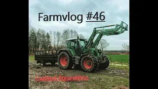 Farmvlog #46 | Es geht ans Holz