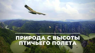 Прекрасная природа с высоты птичьего полета!!!