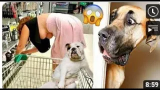 New Best Funny Animals 🥰 2022 | Funniest cats and dogs Videos  😻 🐕64