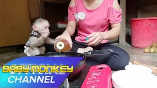 Monkey Ye burned her hands for grabbing food from the pan #MonkeyLife #MonkeyBaby #MonkeyCute