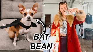 NEW HOUSE SNEAK PEEK + LUNA'S HALLOWEEN COSTUMES | leighannvlogs