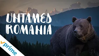 Untamed Romania | Trailer | Available Now