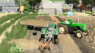 FS 19 | OLD FARM | Timelapse #9 | Liming the meadow. Digging potatoes.