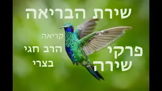 PIREKEY SHIRA  פרקי שירה, שירת הבריאה, קריאה: הרב חגי בצרי