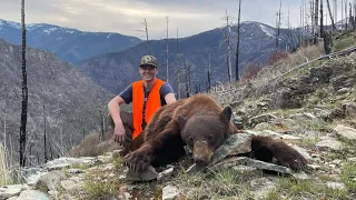 Montana Spring Bear 2022
