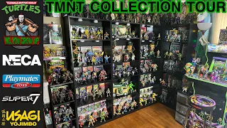 Huge Teenage Mutant Ninja Turtles Collection Tour - Winter 2024