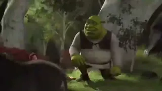 Shrek Movie In 1 Second