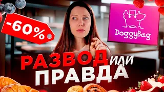 АУТЛЕТ ЕДЫ из ресторанов? – Тестирую приложение DoggyBag