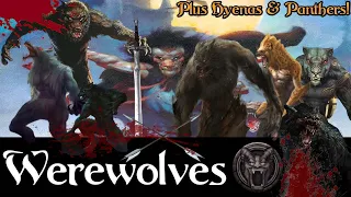 All Werewolves in Conan Lore (Study and Theory Crafting)