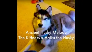 Ancient Husky Melody (Cut Original Song)- The Kiffness