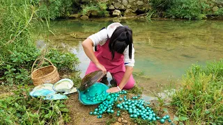 The girl discovered the mutated green meat giant clam and opened it to obtain exquisite pearls