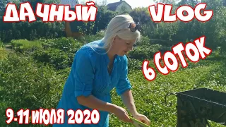 ДАЧА. 6 СОТОК. НАШ ДНЕВНИК 2020  (9-11 июля)