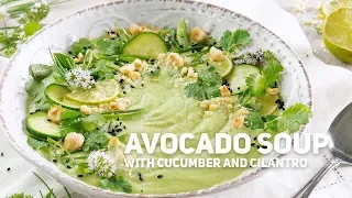 Cold Avocado and Cucumber Soup