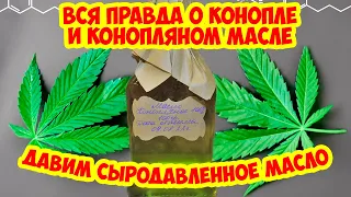 Пугающая правда о пользе конопляного масла