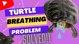 Turtle Breathing Problem Solved