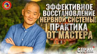 Эффективное восстановление нервной системы. Практика от мастера. Цигун. Киай Цигун