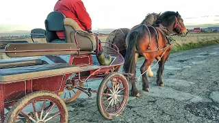 ВЕЧІРНЯ ПРОГУЛЯНКА/ДЖОКЕР І РУЖА ЗАПРЯЖЕНІ В МАРАТОН