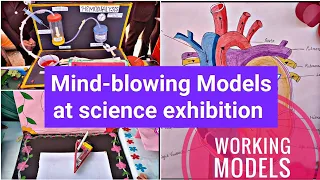 Mind-blowing science models at our school exhibition