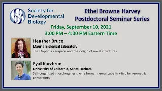 SDB Ethel Browne Harvey Postdoctoral Seminar Series - Heather Bruce and Eyal Karzbrun