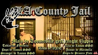 Malo from Toonerville gets caught slippin in the LA County Jail. 5 shooters go in on him.