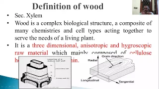 WOOD ANATOMY