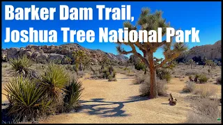 📹 4K HDR 60FPS | 🚶 Full Hike | 🏜 Barker Dam Trail, Joshua Tree, CA | 🇺🇸 United States