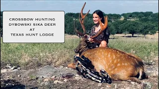 Young Huntress Crossbow Hunting Dybowski Sika at Texas Hunt Lodge