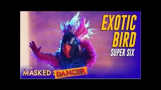 The Masked Dancer Exotic Bird "Rush" by Lewis Capaldi ft. Jessie Reyez reaction and review