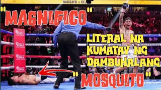 Mark Magsayo Vs Pablo Cruz, KNOCKOUT,BOXING fight,HIGHLIGHTS