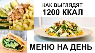 Меню на 1200 ккал в день / Как выглядят 1200 калорий / пример питания на 1200 ккал / ДНЕВНИК ПИТАНИЯ