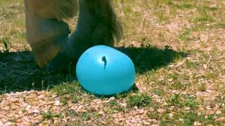 Water balloons looks AMAZING in slow motion reversed