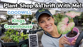 $7 Caladiums & $2 Pots! Plant Shopping and Goodwill Pot Thrifting - Indoor Plant Haul & Thrift Haul