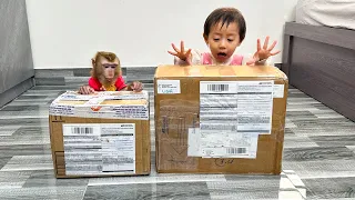 Monkey Kaka and DIem are curious about unique gifts from America