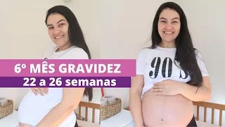 DIARIO DA GRAVIDEZ DO 6º MES   22 A 26 SEMANAS