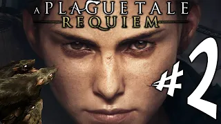 A Plague Tale Requiem - Parte 2: Milhões de Ratos!!! [ Xbox Series X - Playthrough 4K ]