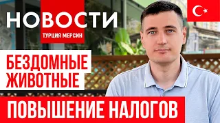 Новости Турции 28.05.2024. Арендодателям развязывают руки, борьба с мошенниками, налоговая реформа.