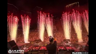 Avicii Ft. Sandro Cavazza - We Burn (Faster Than The Light) Live At UMF 2016